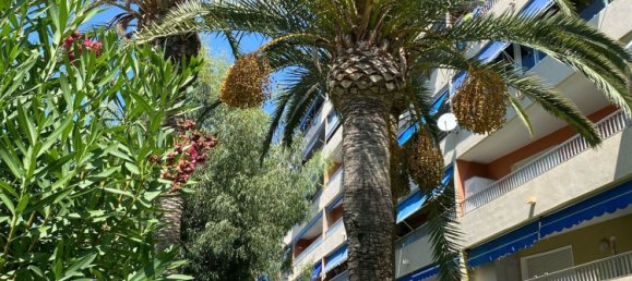 3 chambres Appartement à Torrevieja, Spain No. 156852 26