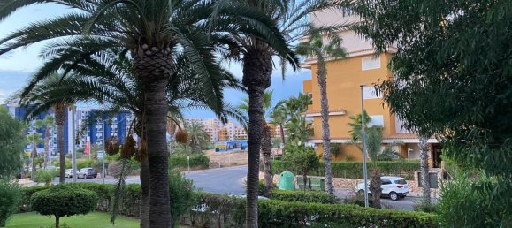 3 chambres Appartement à Torrevieja, Spain No. 156852 20