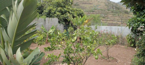 2 غرف نوم منزل في Buenavista del Norte, Spain رقم 163280 34