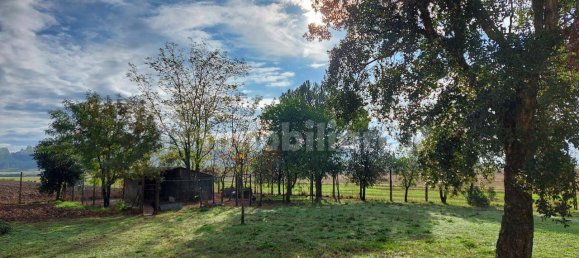 3-salle Villa à Gavorrano, Italy No. 83008 2