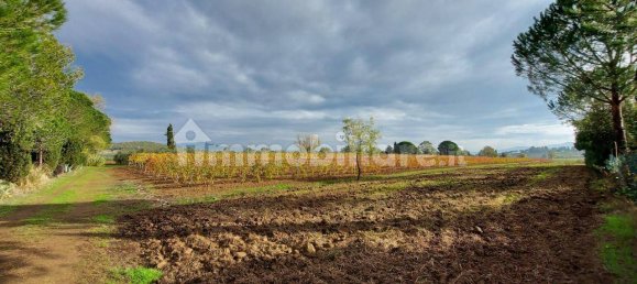 3-salle Villa à Gavorrano, Italy No. 83008 6