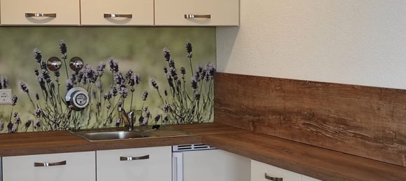 1 bedroom Apartment in Bodenseekreis, Germany No. 56633 4