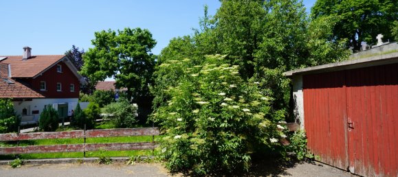 6غرفة مزرعة في Oberallgau, Germany رقم 297859 41