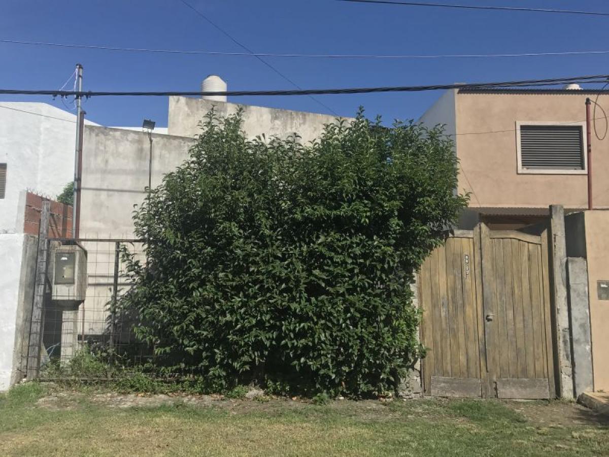 Studio in Campo Creado, Argentina No. 20174