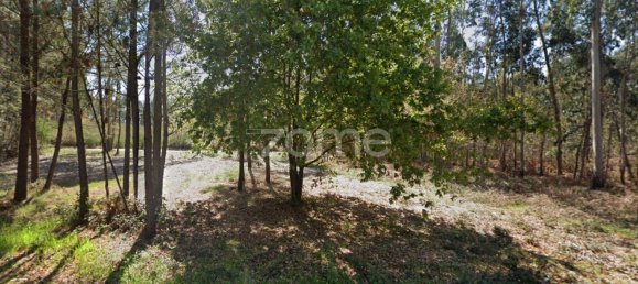  قطعة أرض في Santo Tirso, Portugal 2437متر مربع رقم 58765 9