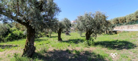  Land in Mangualde, Portugal No. 69056 2