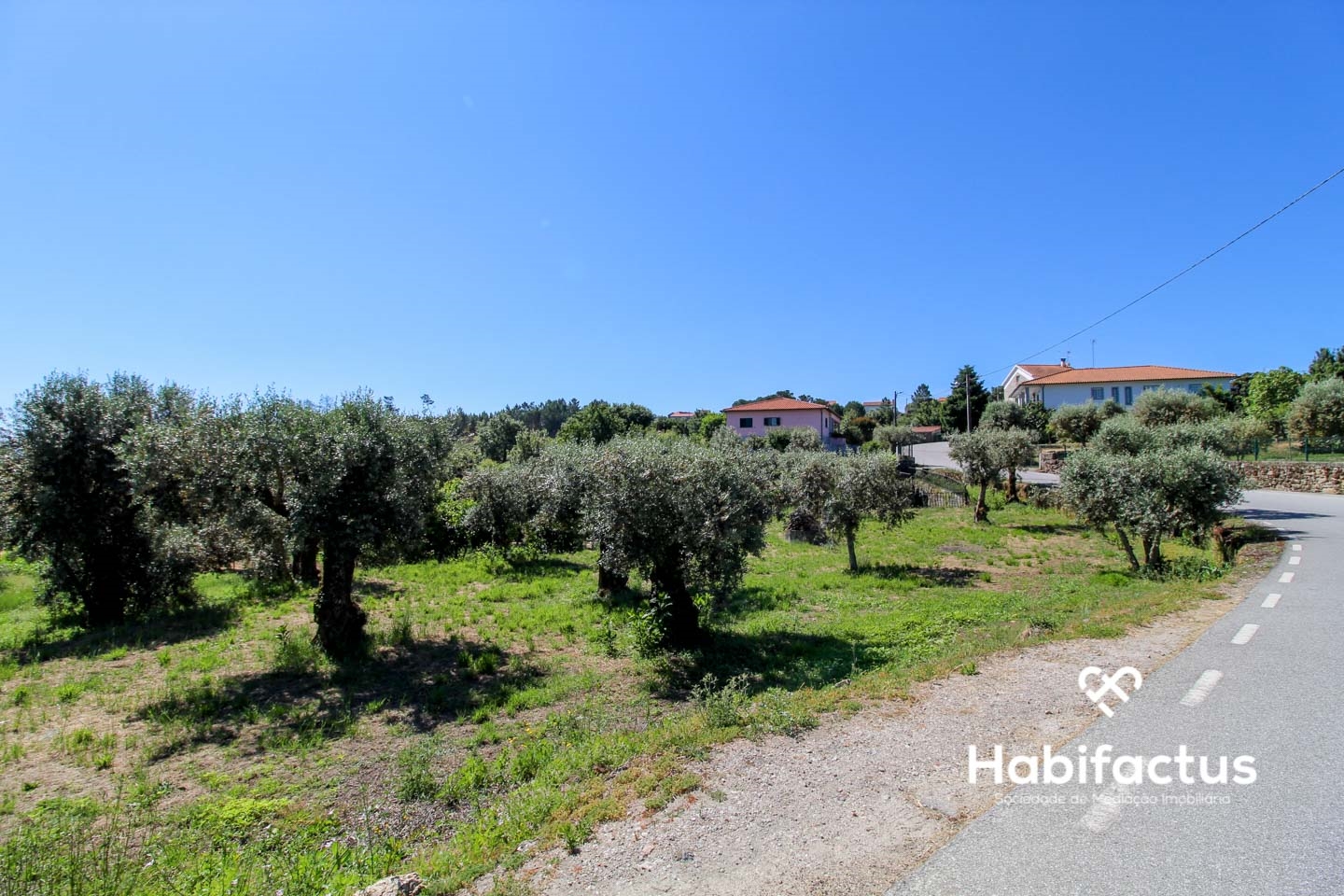  Land in Mangualde, Portugal No. 69056