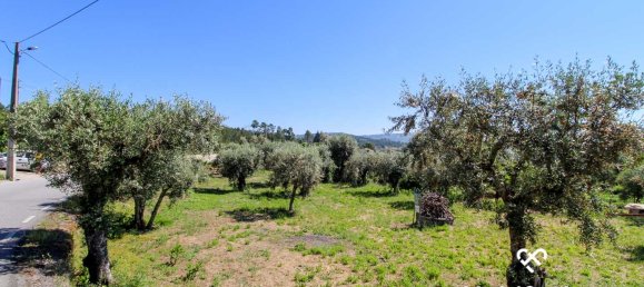  Land in Mangualde, Portugal No. 69056 3