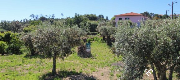  Land in Mangualde, Portugal No. 69056 6