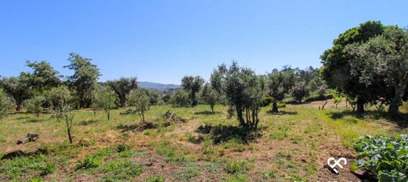  Land in Mangualde, Portugal No. 69056 4