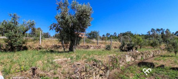  Land in Mangualde, Portugal No. 69056 5