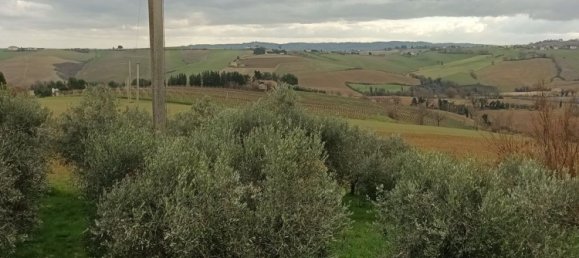 9-Zimmer Haus in Arcevia, Italy, Nr. 251699 8