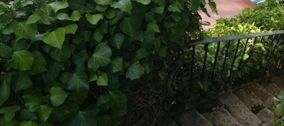 5 bedrooms House in Sintra, Portugal No. 120645 21