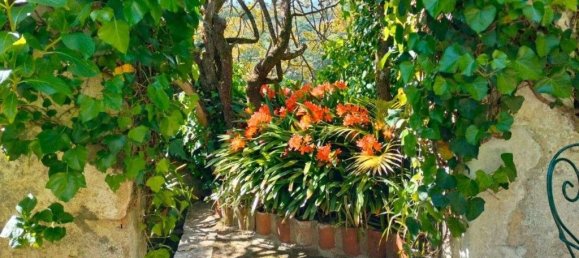 5 bedrooms House in Sintra, Portugal No. 120645 24