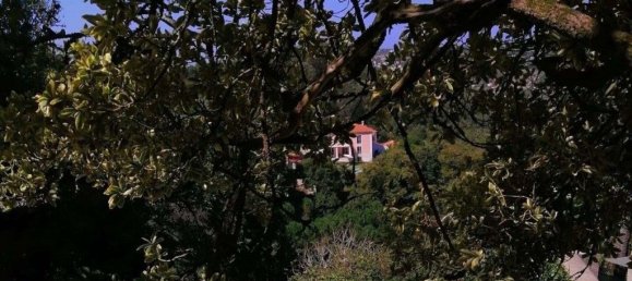 5 bedrooms House in Sintra, Portugal No. 120645 27