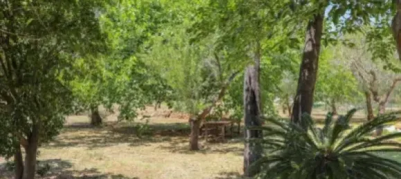 Casa T3 em Alicante, Spain N.º 176946 30