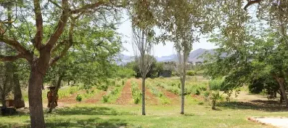 Casa T3 em Alicante, Spain N.º 176946 70