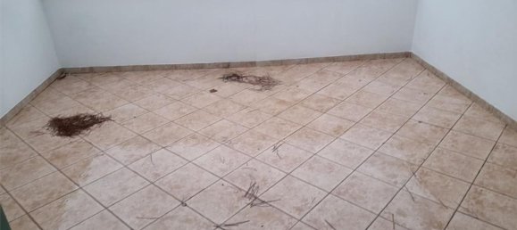 2 rooms Villa in Forte dei Marmi, Italy No. 288229 17