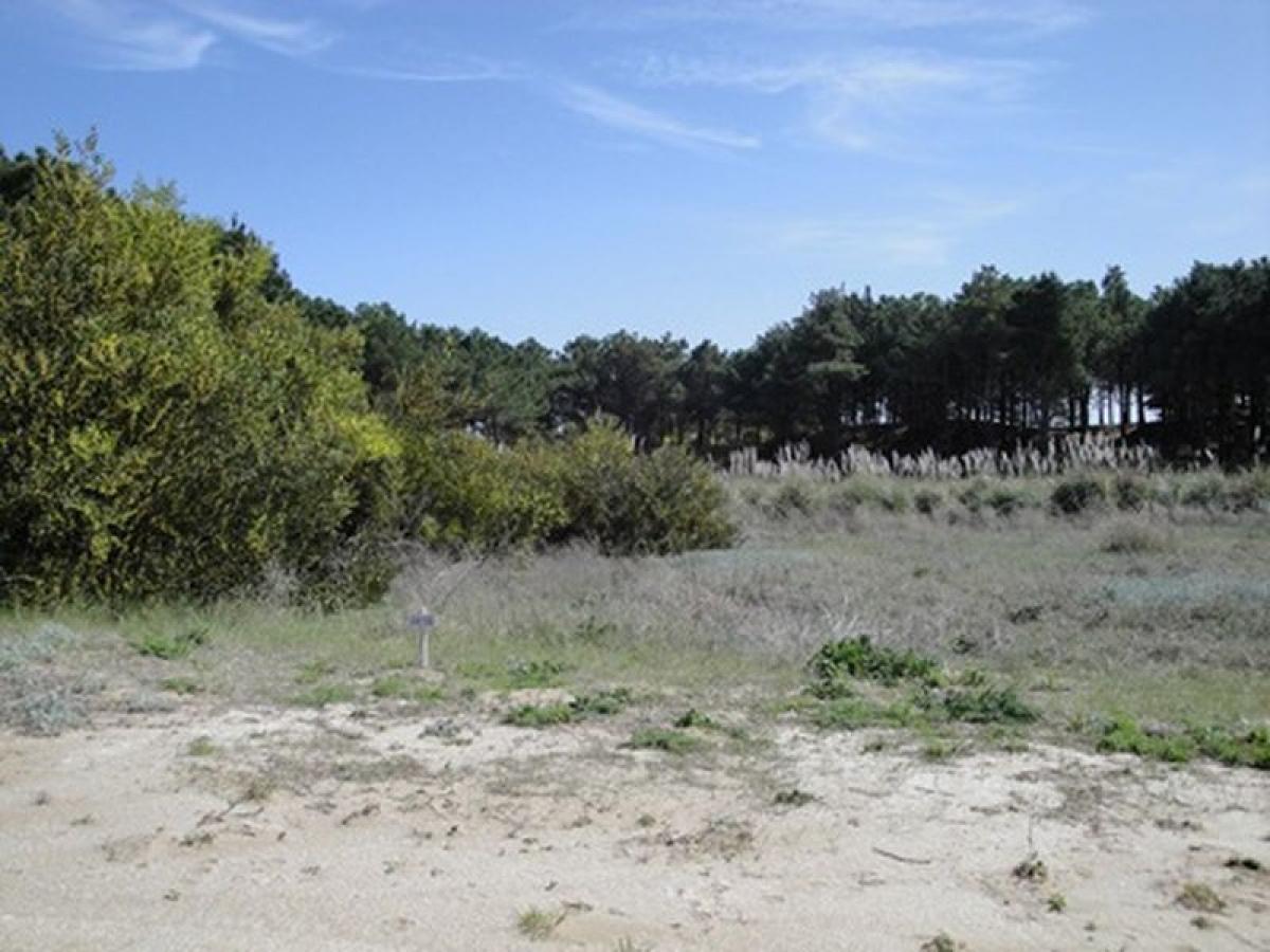  Land in Mar del Plata, Argentina No. 115350