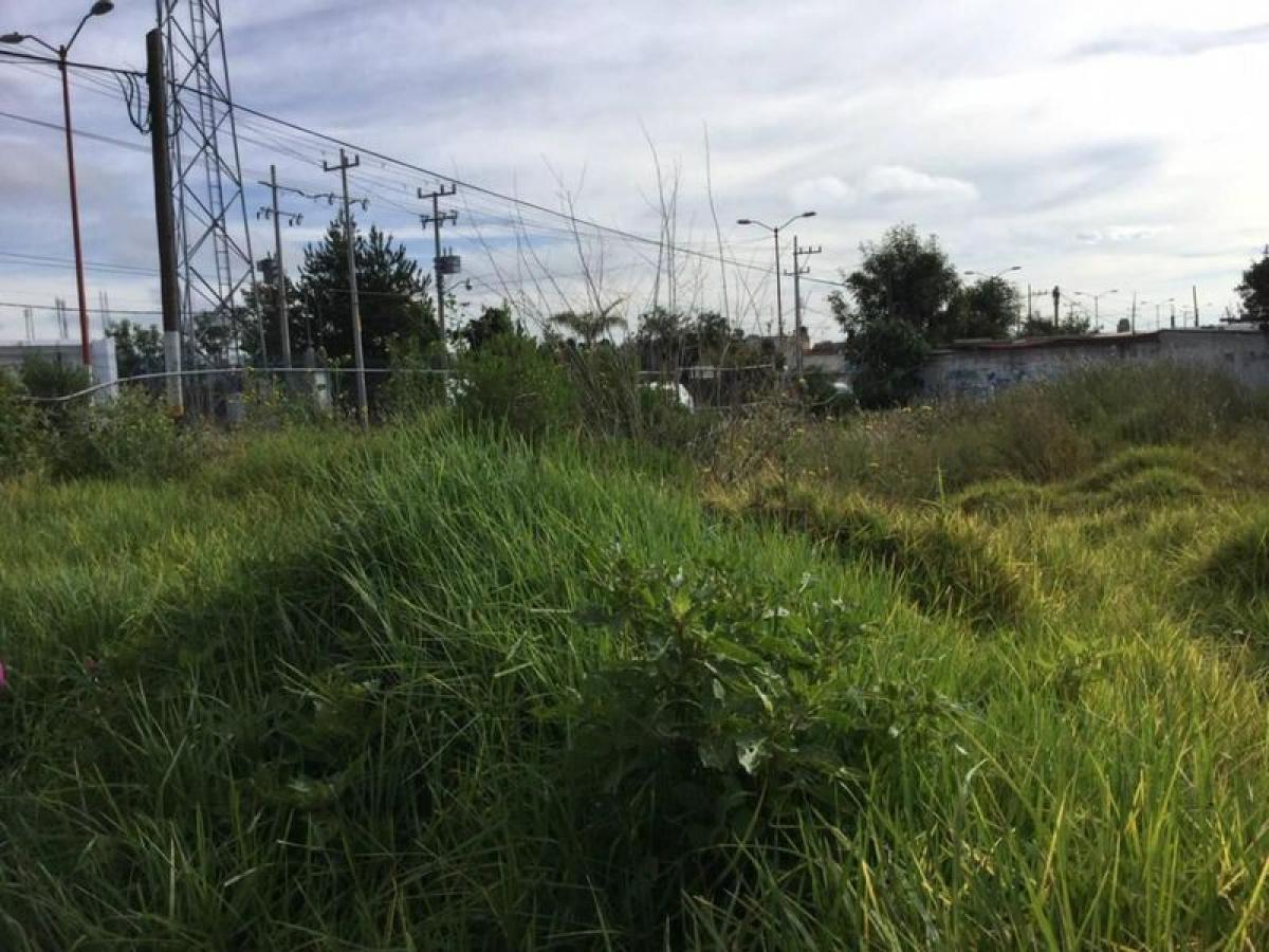  قطعة أرض في Ciudad Nicolas Romero, Mexico رقم 202639