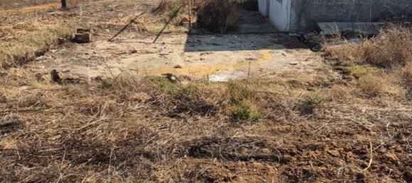 Casa de 1 dormitorio en Santiago do Cacem, Portugal No. 287937 6