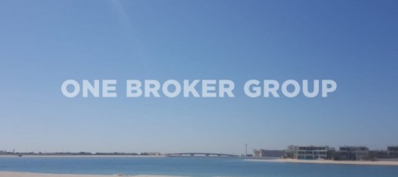 733.9m² Land in Palm Jumeirah, UAE No. 246 3