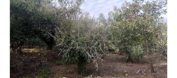 2 bedrooms House in Ansiao, Portugal No. 26402 7