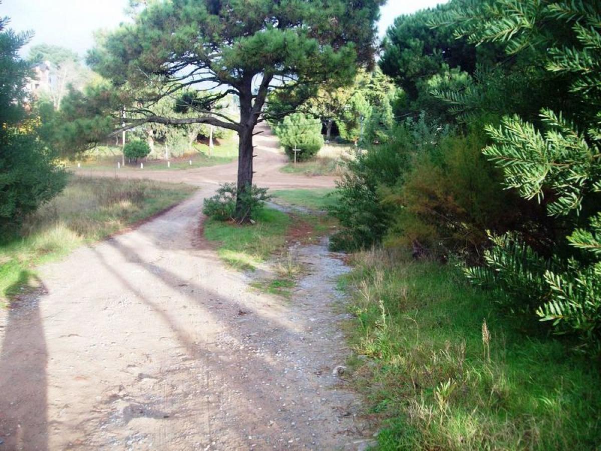  Land in Mar del Plata, Argentina No. 121204