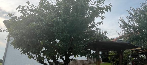 3 غرف نوم تاون هاوس في Schwalm-Eder, Germany رقم 266917 8