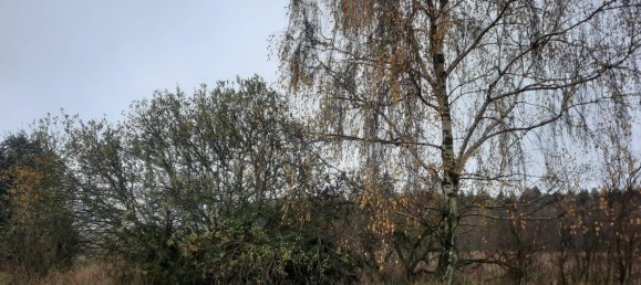 Grundstück in Demmin, Germany, Nr. 316606 4