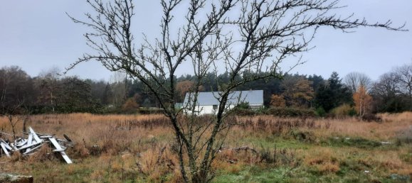 Grundstück in Demmin, Germany, Nr. 316606 6