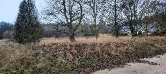 Grundstück in Demmin, Germany, Nr. 316606 3