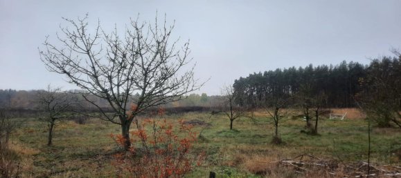 Grundstück in Demmin, Germany, Nr. 316606 2