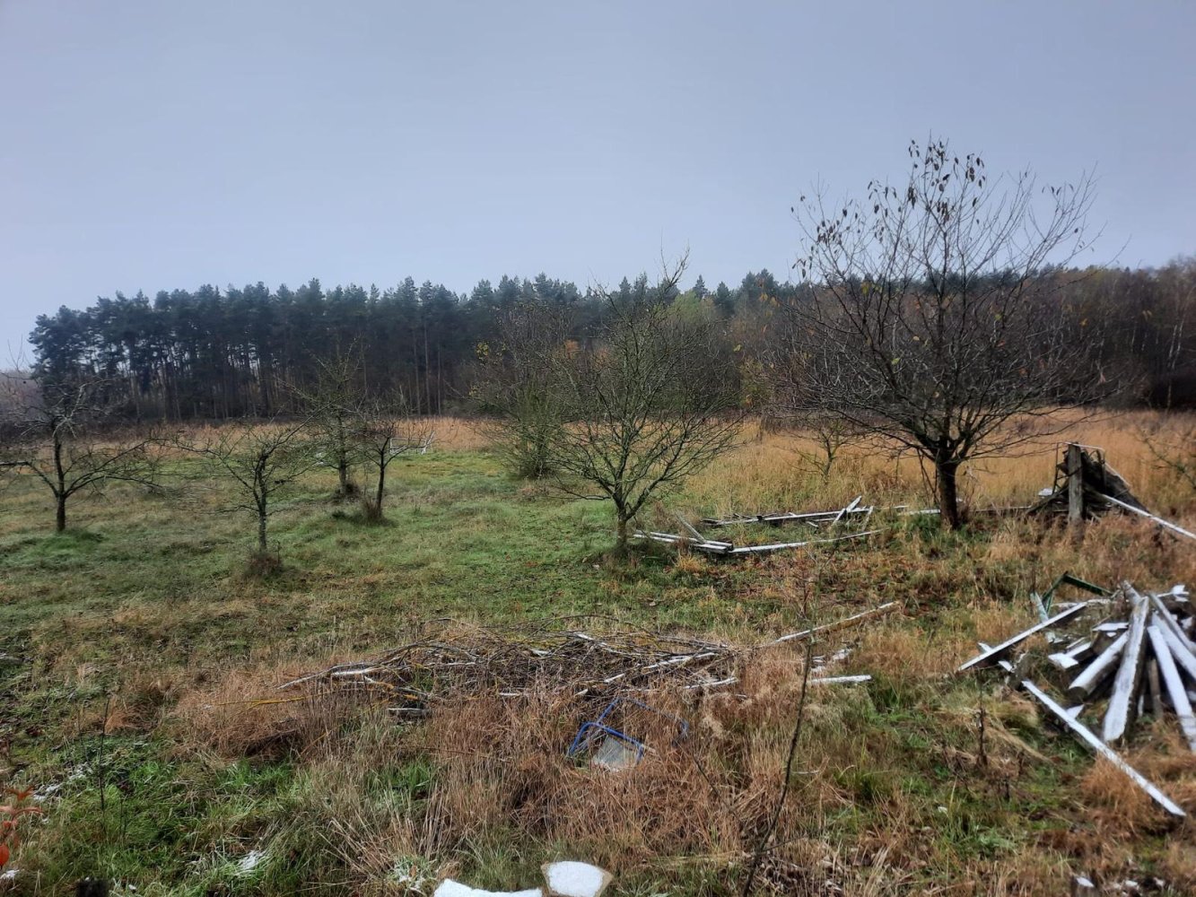 Grundstück in Demmin, Germany, Nr. 316606