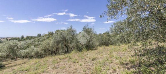 9 rooms Villa in Castelnuovo di Porto, Italy No. 14962 35