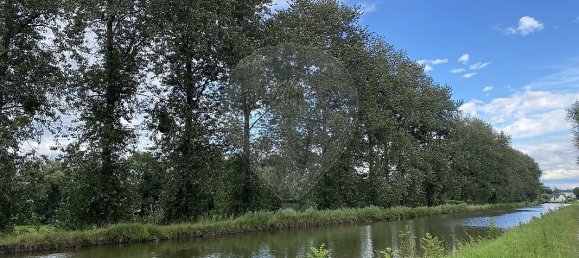 Grundstück in Retzwiller, France, Nr. 264522 3