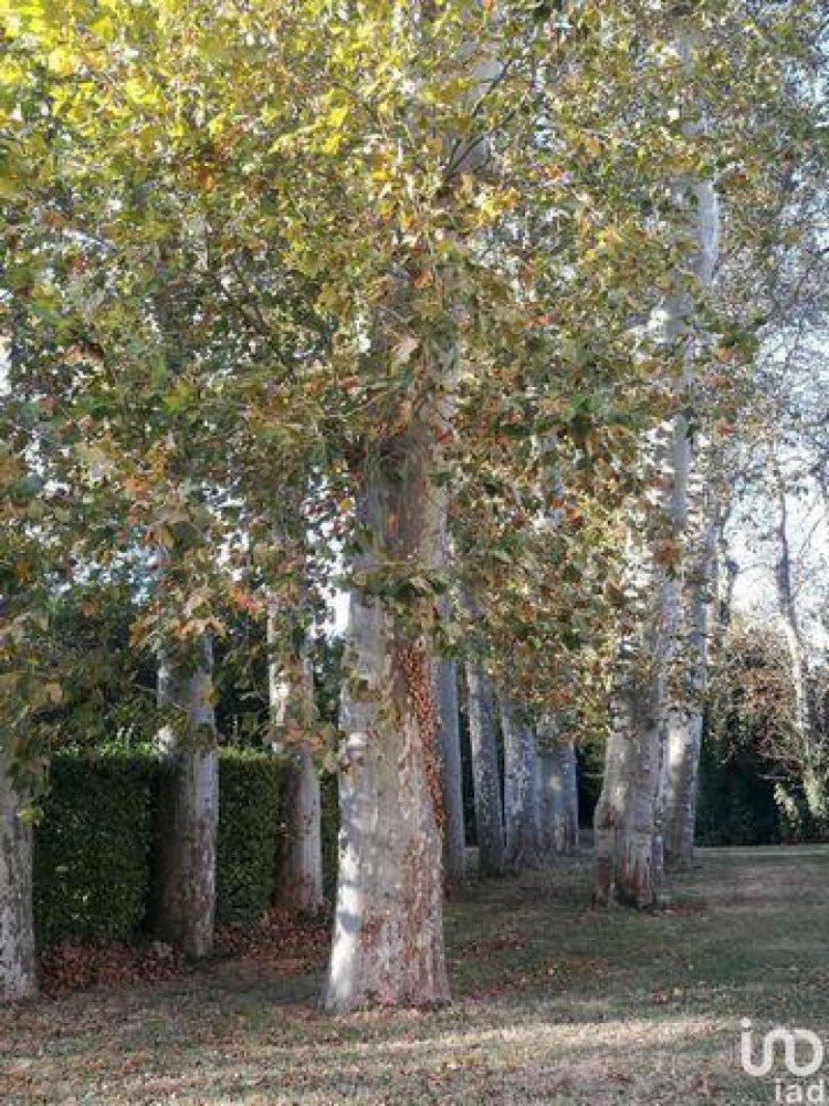 شقة 6 غرف نوم  في La Rochelle, France رقم 36476