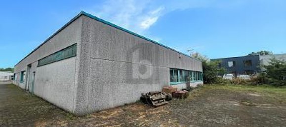 11غرفة بناية في Schleswig-Holstein, Germany رقم 50548 10