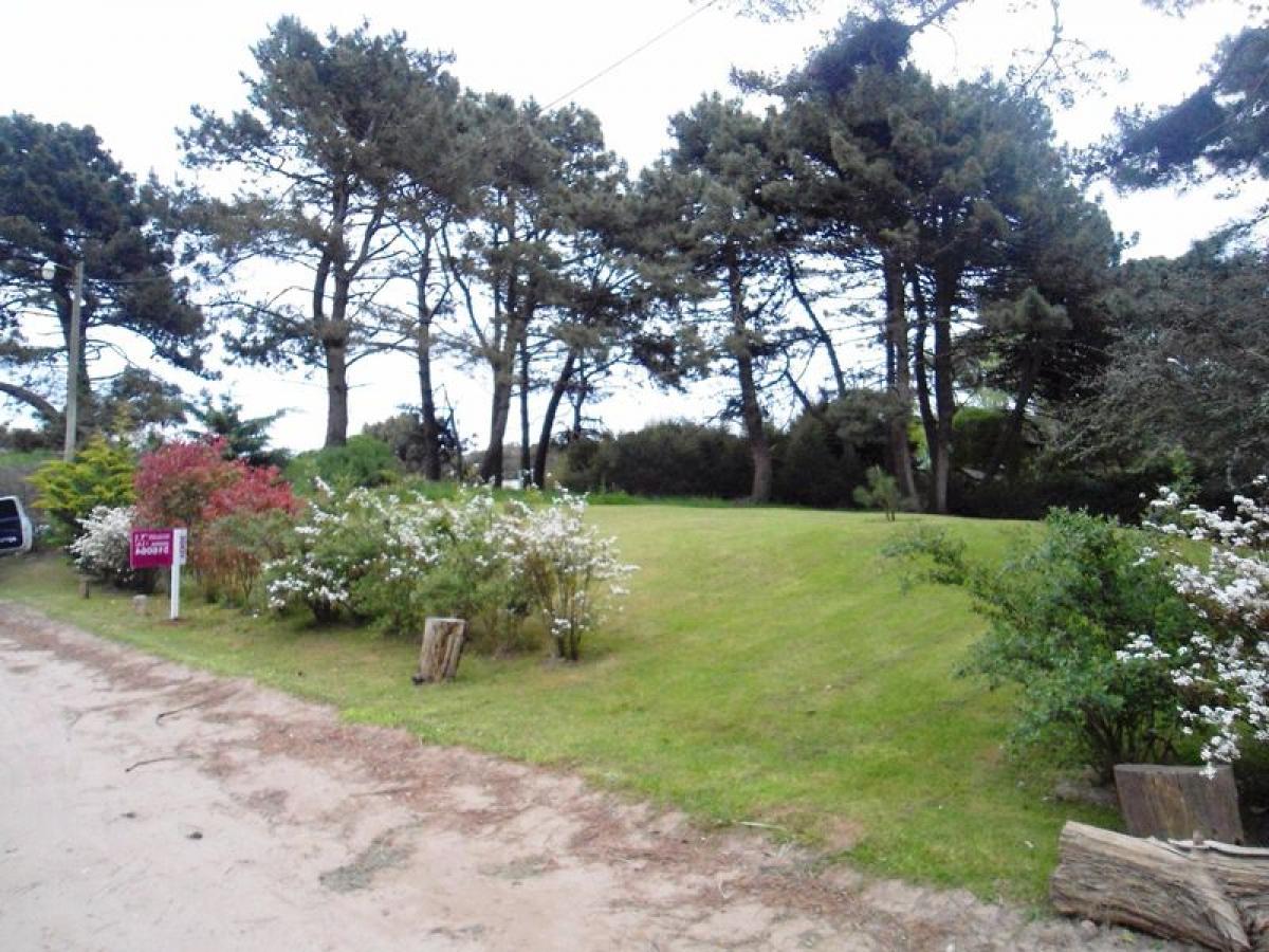 Земельный участок в Мар-дель-Плата, Аргентина № 114334