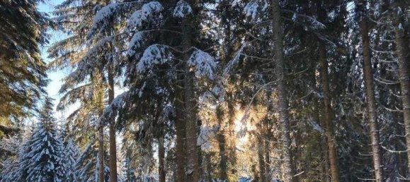 Apartamento de 2 divisões em Treffen am Ossiacher See, Austria N.º 71645 15