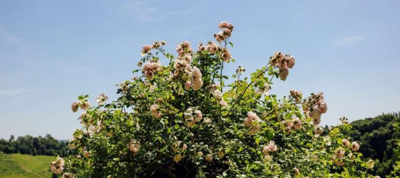 5-salle Maison à Strass in Steiermark, Austria No. 174069 13