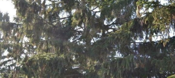 Terrain à Vienna, Austria 960m² No. 148041 5