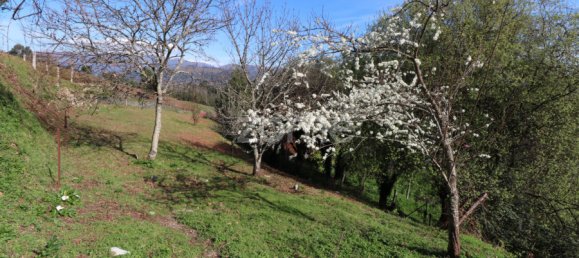 Земельный участок в Аркуш ди Валдевеш, Португалия № 37302 14