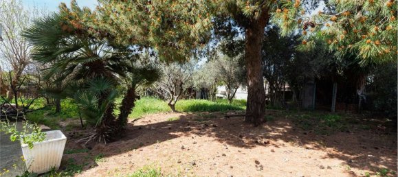 4 bedrooms House in Quartu Sant'Elena, Italy No. 339560 15