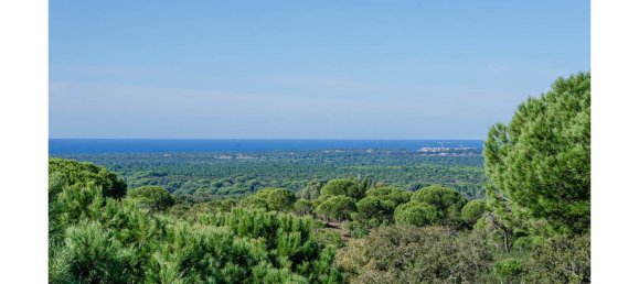 2 bedrooms Villa in Grandola, Portugal No. 116010 20