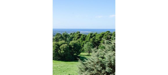 2 bedrooms Villa in Grandola, Portugal No. 116010 6