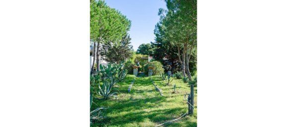 2 bedrooms Villa in Grandola, Portugal No. 116010 15