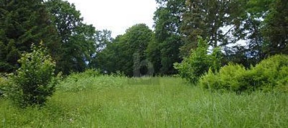 4912m² Land in Lubeck, Germany No. 230148 4