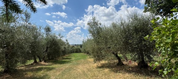 9 rooms House in Marciano della Chiana, Italy No. 269430 17