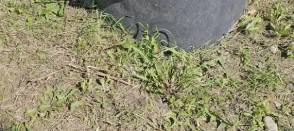 Terrain à St. Andra-Wordern, Austria 892m² No. 95482 17